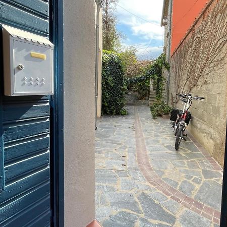 Studio Cabine A Collioure, A 100M De La Plage Et Des Commerces - Fr-1-309-153 Exterior photo